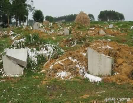 华南陵园：上海公墓中的