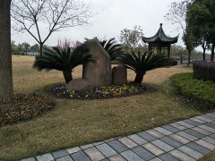 上海公墓浦东墓地华南陵园华南风景3