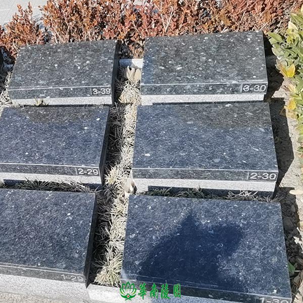 上海墓地浦东公墓华南陵园生态草坪葬公墓价格