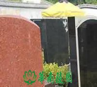 《父母恩重经》经变的出现