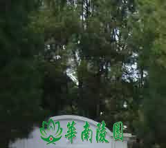 普陀山普济禅寺建筑装饰的功能与特点