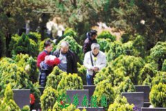 城市的发展反作用于城市公共墓园