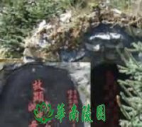 祖先崇拜观