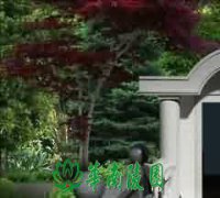 葬之以礼