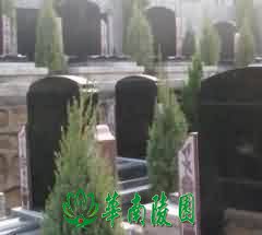 有关孝文化的著作和论文
