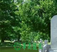 象征文化的色彩展现