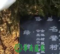 鼓绛文化的发展现状思考