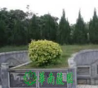 嵊州道场和嗓州吹打