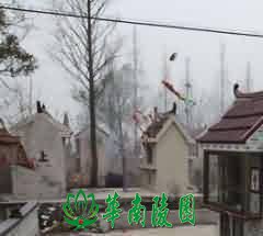祖饯的诗性交际
