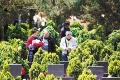 乡村生态公墓自然景观利用