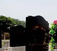 苯教大鹏鸟与格萨尔王的关系