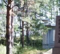 组建全国性的佛教僧团组织