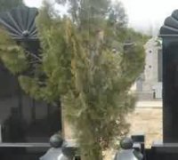 传统社会的政治环境与都市佛寺的社会交换
