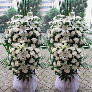 国外城市公墓管理相关研究