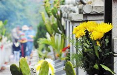 结合整体治理理论研究沈阳市城市公墓管理问题