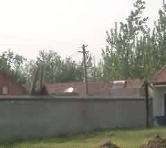 祈雨经研究现状概述
