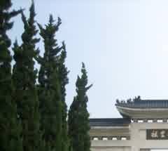 文化教育功能