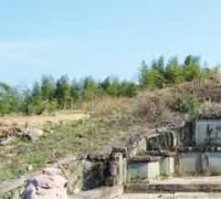 提倡火葬,建立殡仪馆