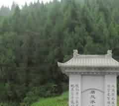 开追悼会,倡导国葬和公葬