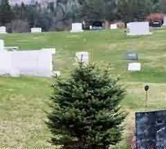 草坪公园式墓园(lawn-park cemetery)