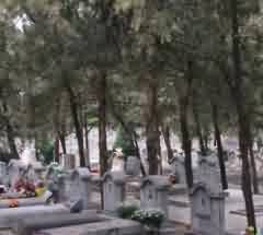 墓地经营人的资格