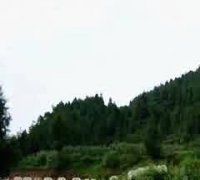 墓志铭中的风水吉地