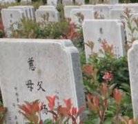 民间信仰与儒教、道教的异同