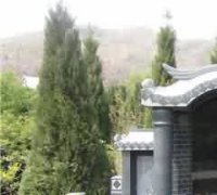 非议停丧不葬之风