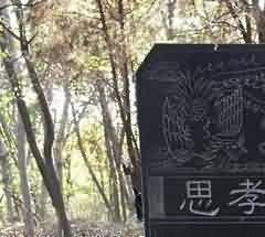 巫判法的正义