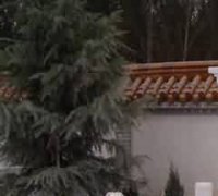 礼与土家社会秩序