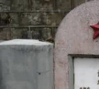 近年举行的成年礼