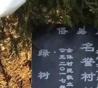 嘉靖:帝后恩绝与皇后丧葬之礼