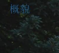 葬书、葬师不足信,驳斥阴阳风水之说