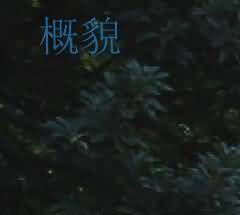 葬书、葬师不足信,驳斥阴阳风水之说