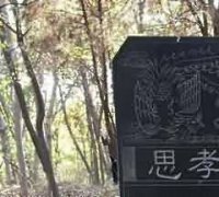 杜少卿之大孝