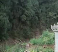 惠民殡葬:让人民对改革有更多获得感