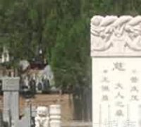 拟像化的身体