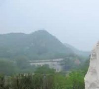 以标准化建设树行业规范