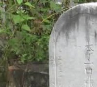 丧葬描写的情节结构功能