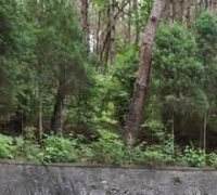 农村地区现行殡葬制度