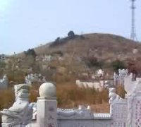 古代文化对园林植物的影响