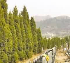 释家异域志之奇闻异物