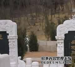 纹样的提取与应用