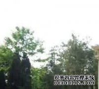 丧葬仪式的选择:农耕经济和灵魂不死
